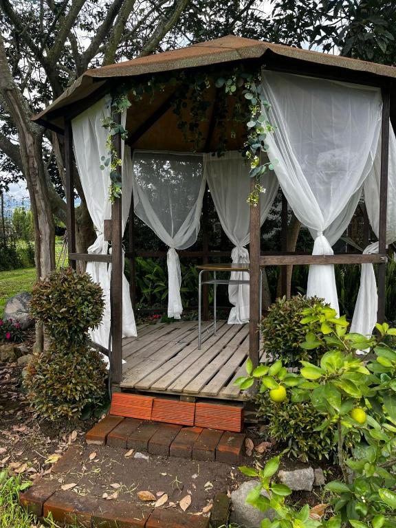Gazebo de descanso entre los árboles